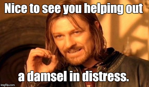 One Does Not Simply Meme | Nice to see you helping out a damsel in distress. | image tagged in memes,one does not simply | made w/ Imgflip meme maker