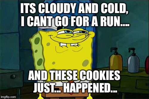 Don't You Squidward Meme | ITS CLOUDY AND COLD, I CANT GO FOR A RUN.... AND THESE COOKIES JUST... HAPPENED... | image tagged in memes,dont you squidward | made w/ Imgflip meme maker