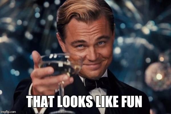 Leonardo Dicaprio Cheers Meme | THAT LOOKS LIKE FUN | image tagged in memes,leonardo dicaprio cheers | made w/ Imgflip meme maker
