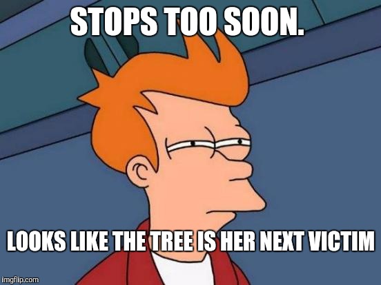 Futurama Fry Meme | STOPS TOO SOON. LOOKS LIKE THE TREE IS HER NEXT VICTIM | image tagged in memes,futurama fry | made w/ Imgflip meme maker