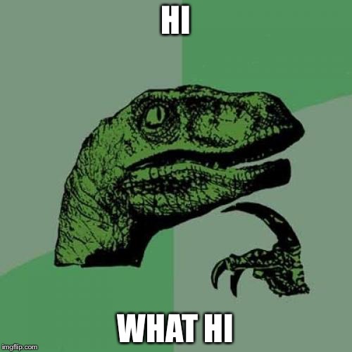 Philosoraptor | HI; WHAT HI | image tagged in memes,philosoraptor | made w/ Imgflip meme maker