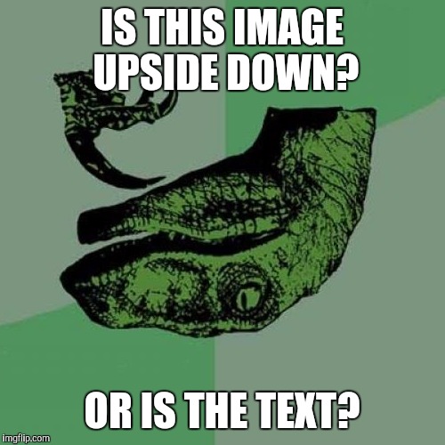 Philosoraptor Meme | IS THIS IMAGE UPSIDE DOWN? OR IS THE TEXT? | image tagged in memes,philosoraptor | made w/ Imgflip meme maker