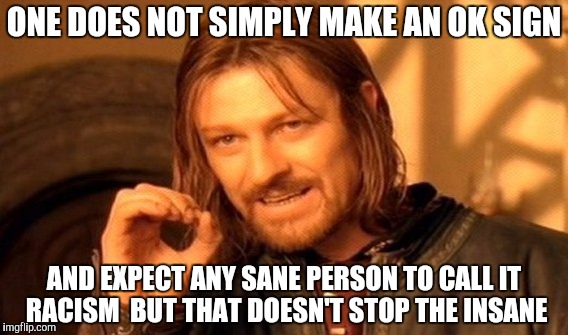 One Does Not Simply | ONE DOES NOT SIMPLY MAKE AN OK SIGN; AND EXPECT ANY SANE PERSON TO CALL IT RACISM  BUT THAT DOESN'T STOP THE INSANE | image tagged in memes,one does not simply | made w/ Imgflip meme maker