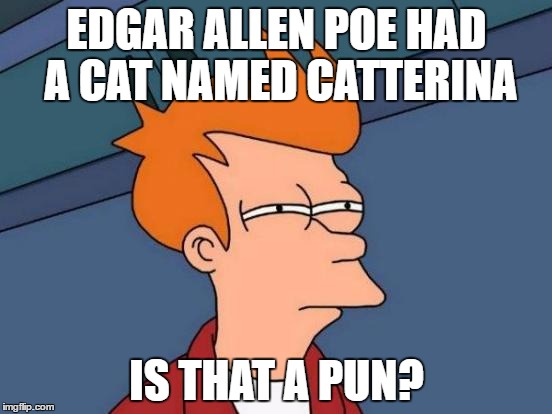 Futurama Fry Meme | EDGAR ALLEN POE HAD A CAT NAMED CATTERINA; IS THAT A PUN? | image tagged in memes,futurama fry | made w/ Imgflip meme maker