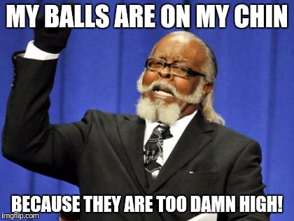 Too Damn High | MY BALLS ARE ON MY CHIN; BECAUSE THEY ARE TOO DAMN HIGH! | image tagged in memes,too damn high | made w/ Imgflip meme maker