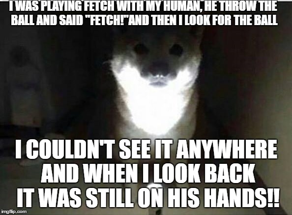 Horror story told by a doggo | I WAS PLAYING FETCH WITH MY HUMAN, HE THROW THE BALL AND SAID "FETCH!"AND THEN I LOOK FOR THE BALL; I COULDN'T SEE IT ANYWHERE AND WHEN I LOOK BACK IT WAS STILL ON HIS HANDS!! | image tagged in memes | made w/ Imgflip meme maker