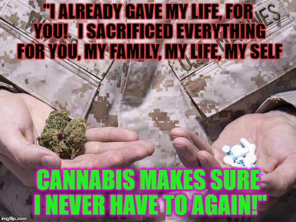 "I ALREADY GAVE MY LIFE, FOR YOU!   I SACRIFICED EVERYTHING FOR YOU, MY FAMILY, MY LIFE, MY SELF; CANNABIS MAKES SURE I NEVER HAVE TO AGAIN!" | image tagged in a vet on marijuana is safer than a vet on anything else | made w/ Imgflip meme maker