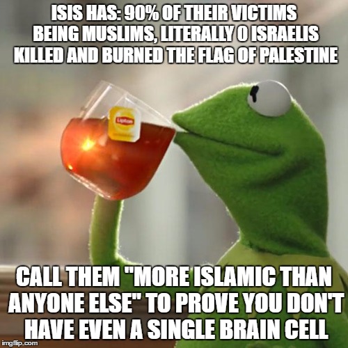 But That's None Of My Business | ISIS HAS: 90% OF THEIR VICTIMS BEING MUSLIMS, LITERALLY 0 ISRAELIS KILLED AND BURNED THE FLAG OF PALESTINE; CALL THEM "MORE ISLAMIC THAN ANYONE ELSE" TO PROVE YOU DON'T HAVE EVEN A SINGLE BRAIN CELL | image tagged in memes,but thats none of my business,kermit the frog,isis,islam,israel | made w/ Imgflip meme maker