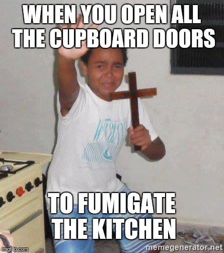 Don't forget to tell your family | WHEN YOU OPEN ALL THE CUPBOARD DOORS; TO FUMIGATE THE KITCHEN | image tagged in scared kid holding a cross | made w/ Imgflip meme maker