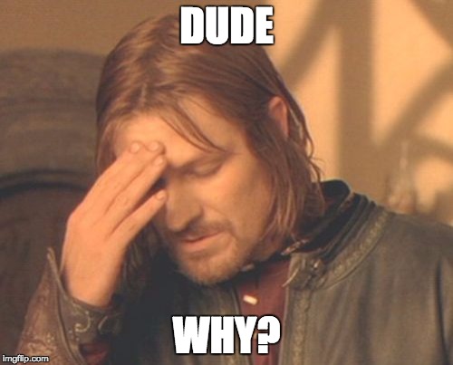 Frustrated Boromir Meme |  DUDE; WHY? | image tagged in memes,frustrated boromir | made w/ Imgflip meme maker