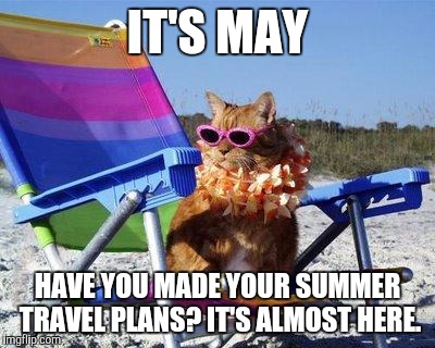 Beach Cat | IT'S MAY; HAVE YOU MADE YOUR SUMMER TRAVEL PLANS? IT'S ALMOST HERE. | image tagged in beach cat | made w/ Imgflip meme maker