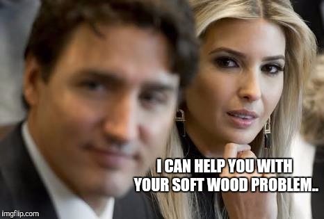 Canadian import issues. |  I CAN HELP YOU WITH YOUR SOFT WOOD PROBLEM.. | image tagged in canada,justin trudeau,ivanka trump | made w/ Imgflip meme maker