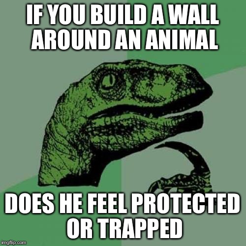 Philosoraptor | IF YOU BUILD A WALL AROUND AN ANIMAL; DOES HE FEEL PROTECTED OR TRAPPED | image tagged in memes,philosoraptor | made w/ Imgflip meme maker