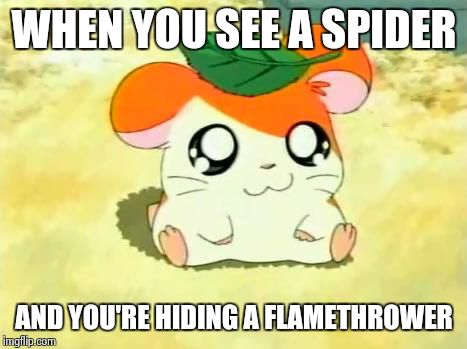 Hamtaro Meme | WHEN YOU SEE A SPIDER AND YOU'RE HIDING A FLAMETHROWER | image tagged in memes,hamtaro | made w/ Imgflip meme maker