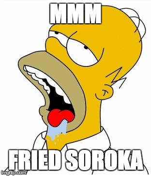 Homer Mmmmm | MMM; FRIED SOROKA | image tagged in homer mmmmm | made w/ Imgflip meme maker