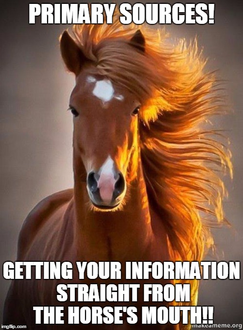 Horse | PRIMARY SOURCES! GETTING YOUR INFORMATION STRAIGHT FROM THE HORSE'S MOUTH!! | image tagged in horse | made w/ Imgflip meme maker