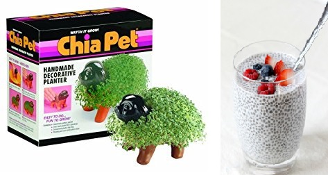 High Quality chia pet to chia seed Blank Meme Template