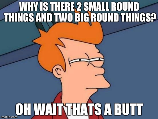 Futurama Fry Meme | WHY IS THERE 2 SMALL ROUND THINGS AND TWO BIG ROUND THINGS? OH WAIT THATS A BUTT | image tagged in memes,futurama fry | made w/ Imgflip meme maker