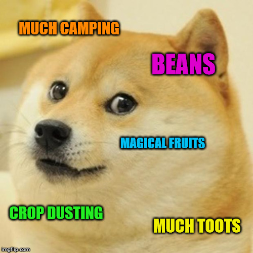 Doge Meme | MUCH CAMPING BEANS MAGICAL FRUITS CROP DUSTING MUCH TOOTS | image tagged in memes,doge | made w/ Imgflip meme maker