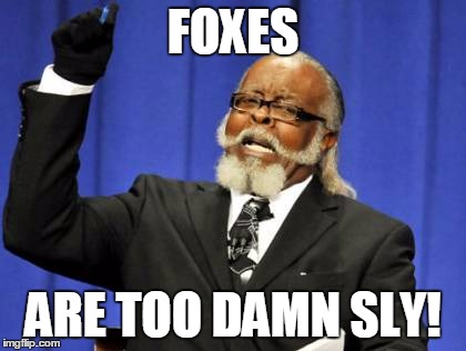 Too Damn High Meme | FOXES; ARE TOO DAMN SLY! | image tagged in memes,too damn high | made w/ Imgflip meme maker