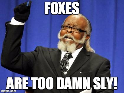 Too Damn High | FOXES; ARE TOO DAMN SLY! | image tagged in memes,too damn high | made w/ Imgflip meme maker