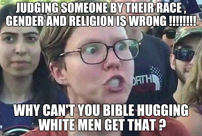 Triggered Liberal | JUDGING SOMEONE BY THEIR RACE , GENDER AND RELIGION IS WRONG !!!!!!!! WHY CAN'T YOU BIBLE HUGGING WHITE MEN GET THAT ? | image tagged in triggered liberal | made w/ Imgflip meme maker