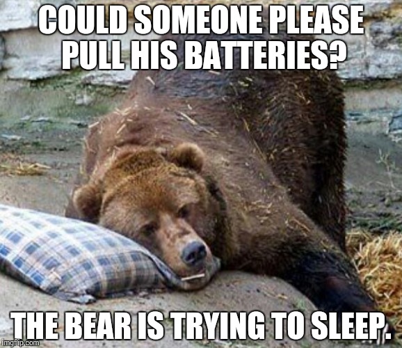 Re: Simon | COULD SOMEONE PLEASE PULL HIS BATTERIES? THE BEAR IS TRYING TO SLEEP. | image tagged in sleep,bear,simon,memes,funny | made w/ Imgflip meme maker