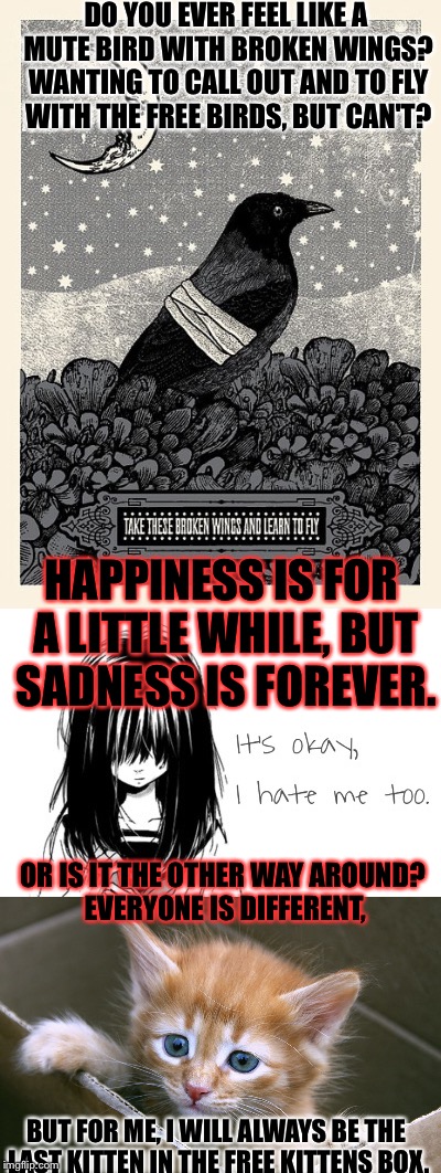 Have you ever felt like this...? | DO YOU EVER FEEL LIKE A MUTE BIRD WITH BROKEN WINGS? WANTING TO CALL OUT AND TO FLY WITH THE FREE BIRDS, BUT CAN'T? HAPPINESS IS FOR A LITTLE WHILE, BUT SADNESS IS FOREVER. OR IS IT THE OTHER WAY AROUND? EVERYONE IS DIFFERENT, BUT FOR ME, I WILL ALWAYS BE THE LAST KITTEN IN THE FREE KITTENS BOX. | image tagged in sad,sadness,depression sadness hurt pain anxiety | made w/ Imgflip meme maker