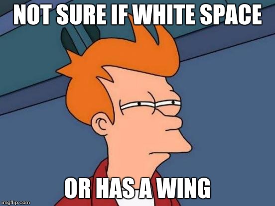 NOT SURE IF WHITE SPACE OR HAS A WING | image tagged in memes,futurama fry | made w/ Imgflip meme maker