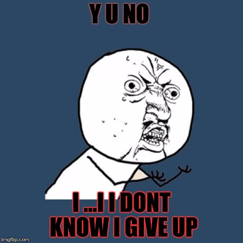 Y U No Meme | Y U NO; I ...I I DONT KNOW I GIVE UP | image tagged in memes,y u no | made w/ Imgflip meme maker
