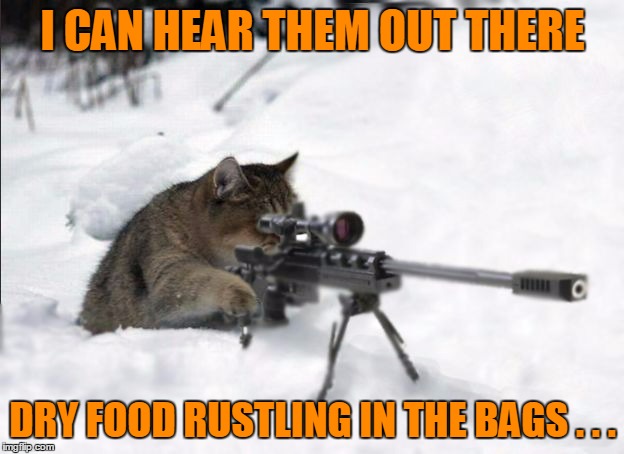 I CAN HEAR THEM OUT THERE DRY FOOD RUSTLING IN THE BAGS . . . | made w/ Imgflip meme maker