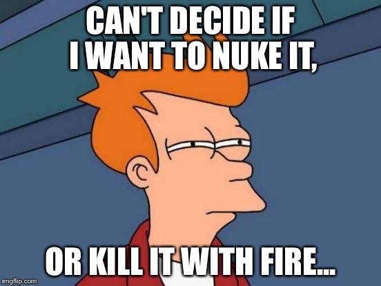 Futurama Fry Meme | CAN'T DECIDE IF I WANT TO NUKE IT, OR KILL IT WITH FIRE... | image tagged in memes,futurama fry | made w/ Imgflip meme maker