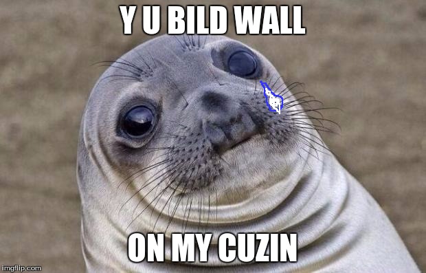Awkward Moment Sealion Meme | Y U BILD WALL; ON MY CUZIN | image tagged in memes,awkward moment sealion | made w/ Imgflip meme maker