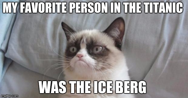 The thoughts of grumpy cat
 | MY FAVORITE PERSON IN THE TITANIC; WAS THE ICE BERG | image tagged in grumpycat | made w/ Imgflip meme maker