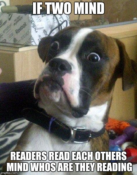 Surprised Dog | IF TWO MIND; READERS READ EACH OTHERS MIND WHOS ARE THEY READING | image tagged in surprised dog | made w/ Imgflip meme maker