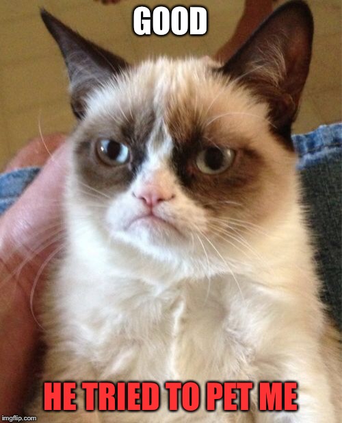 Grumpy Cat Meme | GOOD HE TRIED TO PET ME | image tagged in memes,grumpy cat | made w/ Imgflip meme maker