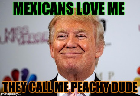 Donald trump approves | MEXICANS LOVE ME; THEY CALL ME PEACHY DUDE | image tagged in donald trump approves | made w/ Imgflip meme maker