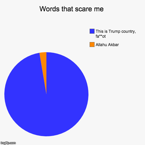 image tagged in funny,pie charts,myrianwaffleev,alt-right,radical islam,radical right | made w/ Imgflip chart maker