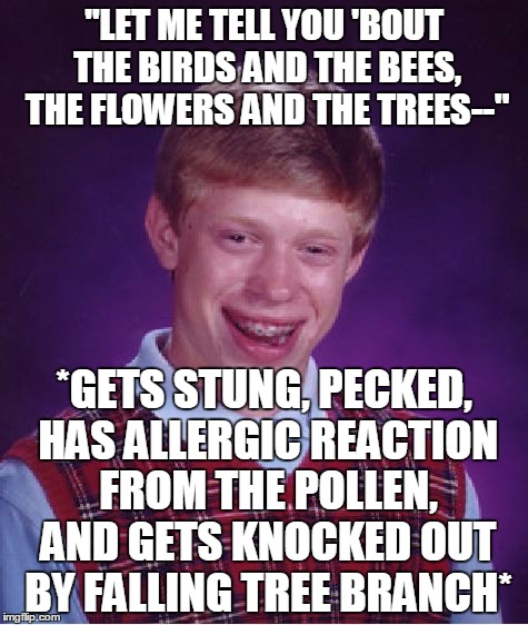 A Thing Called Love | "LET ME TELL YOU 'BOUT THE BIRDS AND THE BEES, THE FLOWERS AND THE TREES--"; *GETS STUNG, PECKED, HAS ALLERGIC REACTION FROM THE POLLEN, AND GETS KNOCKED OUT BY FALLING TREE BRANCH* | image tagged in memes,bad luck brian | made w/ Imgflip meme maker