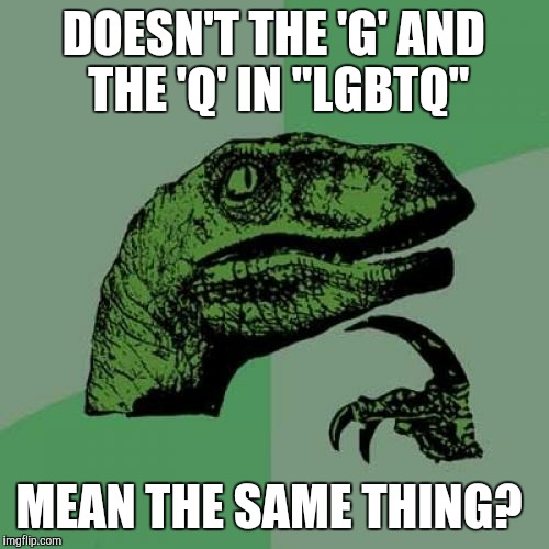 (Edited) If this meme offends anybody (or at least gets rated NSFW), I'll delete it.  | DOESN'T THE 'G' AND THE 'Q' IN "LGBTQ"; MEAN THE SAME THING? | image tagged in memes,philosoraptor,lgbtq,letters,acronym,synonym | made w/ Imgflip meme maker
