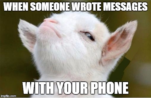 Suspicious Sheep | WHEN SOMEONE WROTE MESSAGES; WITH YOUR PHONE | image tagged in suspicious sheep | made w/ Imgflip meme maker