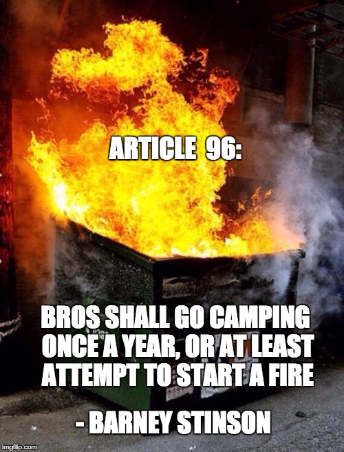 Dumpster Fire | ARTICLE  96:; BROS SHALL GO CAMPING ONCE A YEAR, OR AT LEAST ATTEMPT TO START A FIRE; - BARNEY STINSON | image tagged in dumpster fire | made w/ Imgflip meme maker