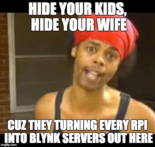 hide your wife | HIDE YOUR KIDS, HIDE YOUR WIFE; CUZ THEY TURNING EVERY RPI INTO BLYNK SERVERS OUT HERE | image tagged in hide your wife | made w/ Imgflip meme maker