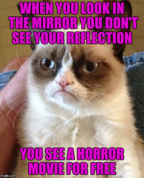 At Least You Get Something Free  | WHEN YOU LOOK IN THE MIRROR YOU DON'T SEE YOUR REFLECTION; YOU SEE A HORROR MOVIE FOR FREE | image tagged in memes,grumpy cat | made w/ Imgflip meme maker