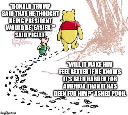 pooh | "DONALD TRUMP SAID THAT HE THOUGHT BEING PRESIDENT WOULD BE 'EASIER,'" SAID PIGLET. "WILL IT MAKE HIM FEEL BETTER IF HE KNOWS IT'S BEEN HARDER FOR AMERICA THAN IT HAS BEEN FOR HIM?" ASKED POOH. | image tagged in pooh | made w/ Imgflip meme maker