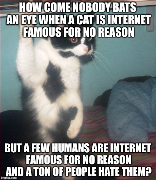 question cat | HOW COME NOBODY BATS AN EYE WHEN A CAT IS INTERNET FAMOUS FOR NO REASON; BUT A FEW HUMANS ARE INTERNET FAMOUS FOR NO REASON AND A TON OF PEOPLE HATE THEM? | image tagged in question cat | made w/ Imgflip meme maker