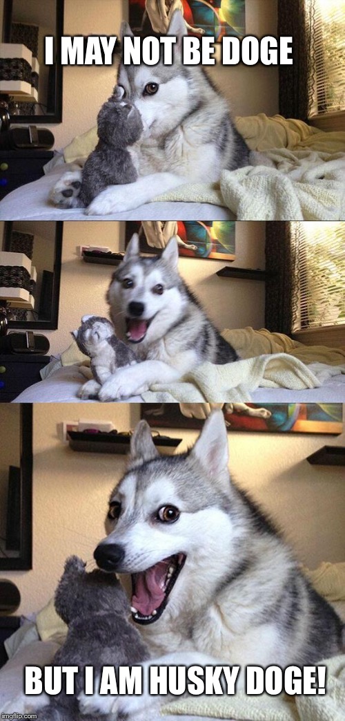 Bad Pun Dog | I MAY NOT BE DOGE; BUT I AM HUSKY DOGE! | image tagged in memes,bad pun dog | made w/ Imgflip meme maker