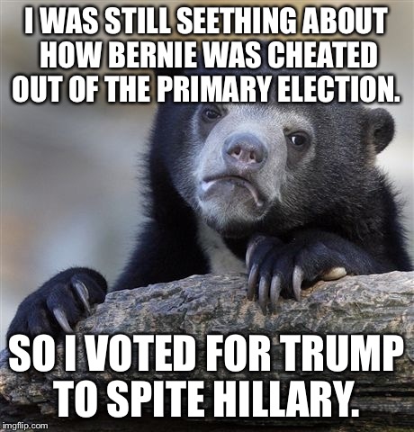 Confession Bear Meme | I WAS STILL SEETHING ABOUT HOW BERNIE WAS CHEATED OUT OF THE PRIMARY ELECTION. SO I VOTED FOR TRUMP TO SPITE HILLARY. | image tagged in memes,confession bear,AdviceAnimals | made w/ Imgflip meme maker