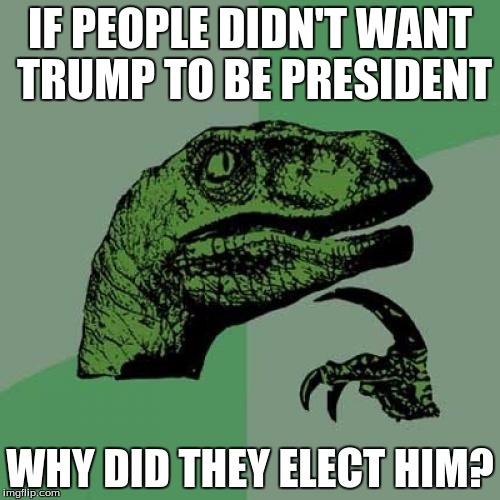 Philosoraptor Meme | IF PEOPLE DIDN'T WANT TRUMP TO BE PRESIDENT; WHY DID THEY ELECT HIM? | image tagged in memes,philosoraptor | made w/ Imgflip meme maker