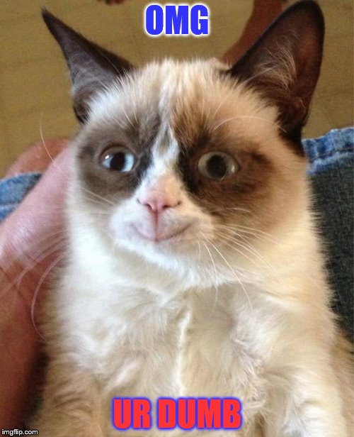 Grumpy Cat Happy | OMG; UR DUMB | image tagged in memes,grumpy cat happy,grumpy cat | made w/ Imgflip meme maker